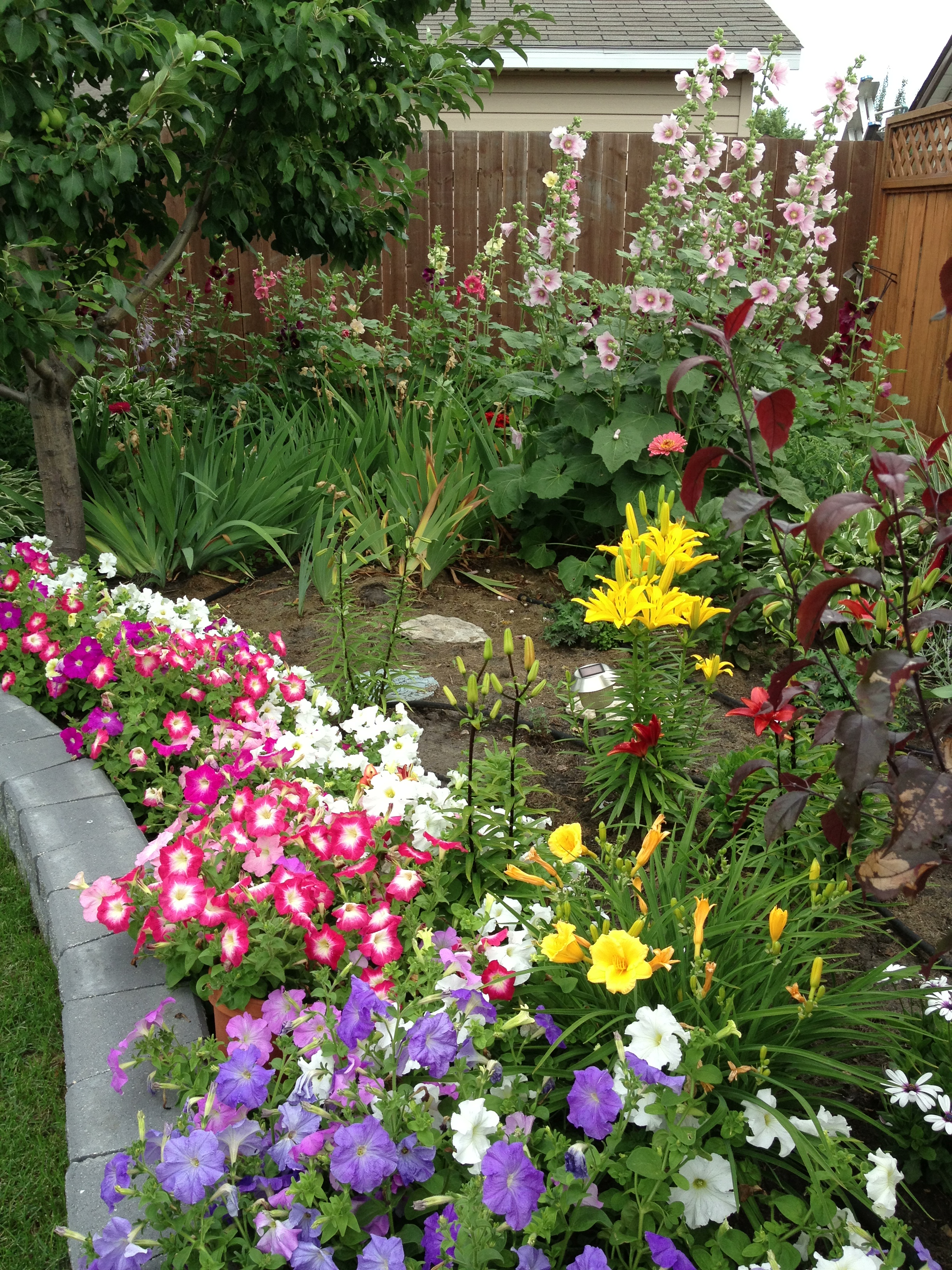 Backyard Flower Garden